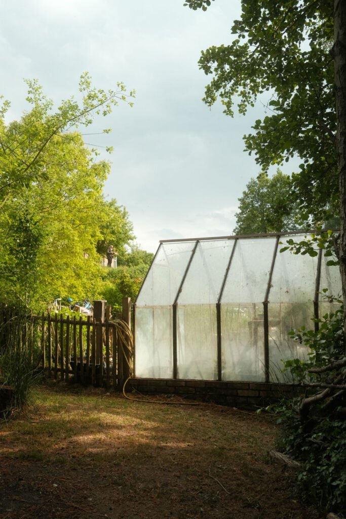 Ein kleines gläsernes Gewächshaus steht in einem begrünten Garten, umgeben von Bäumen und einem Holzzaun, durch dessen Blätter das Sonnenlicht fällt.